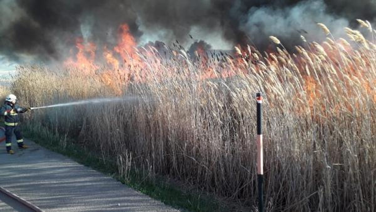 Van'da Erçek Gölü'ndeki Sazlıkta Yangın Çıktı