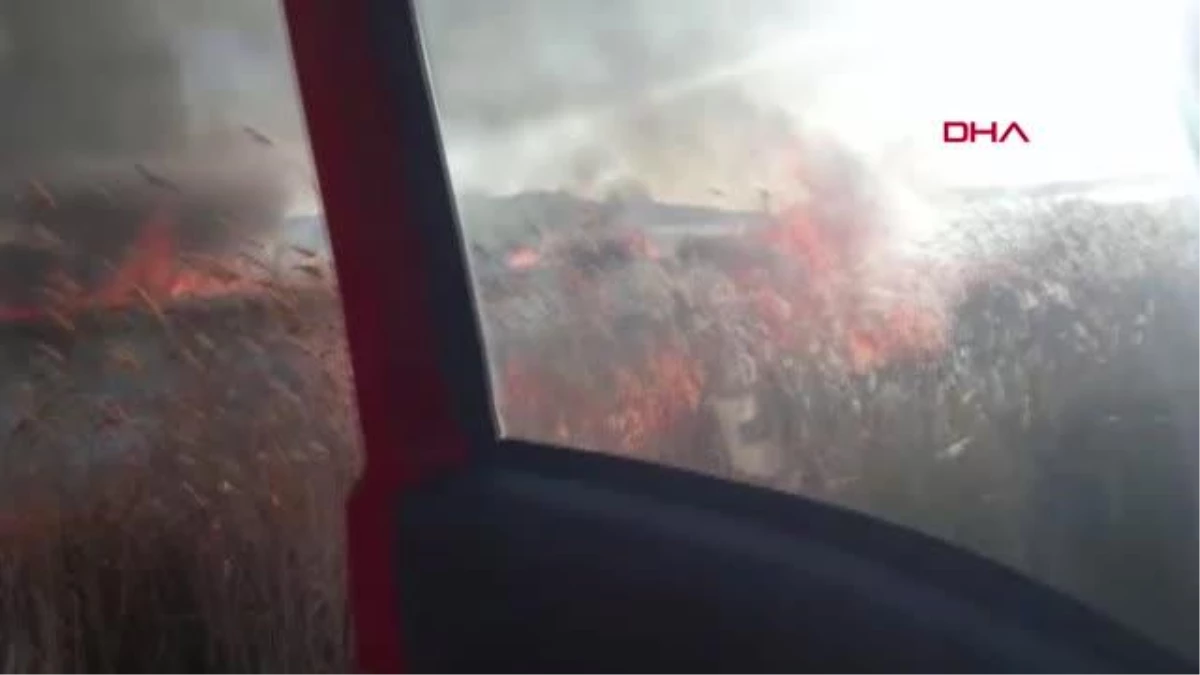 Van'daki Erçek Gölü'ndeki sazlıkta yangın çıktı